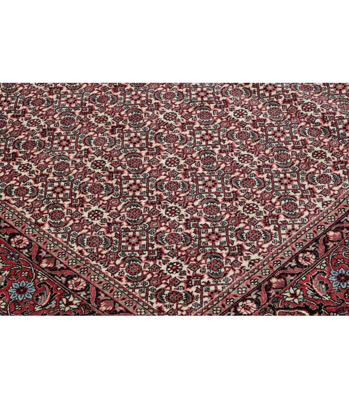 Bidjar with silk contours