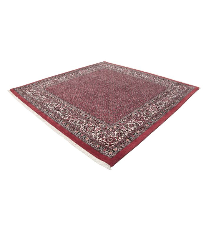 Bidjar with silk contours