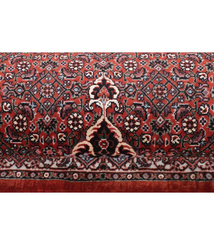 Bidjar with silk contours