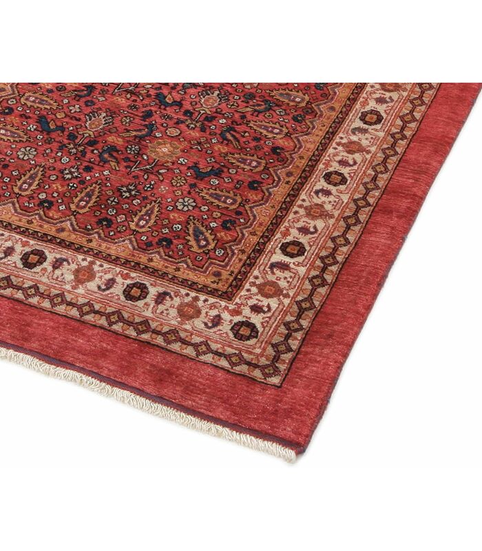 Ghashghayi Collection