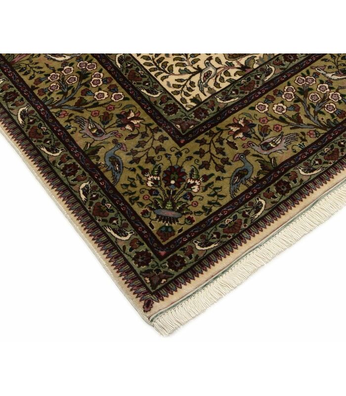Tabriz 50raj