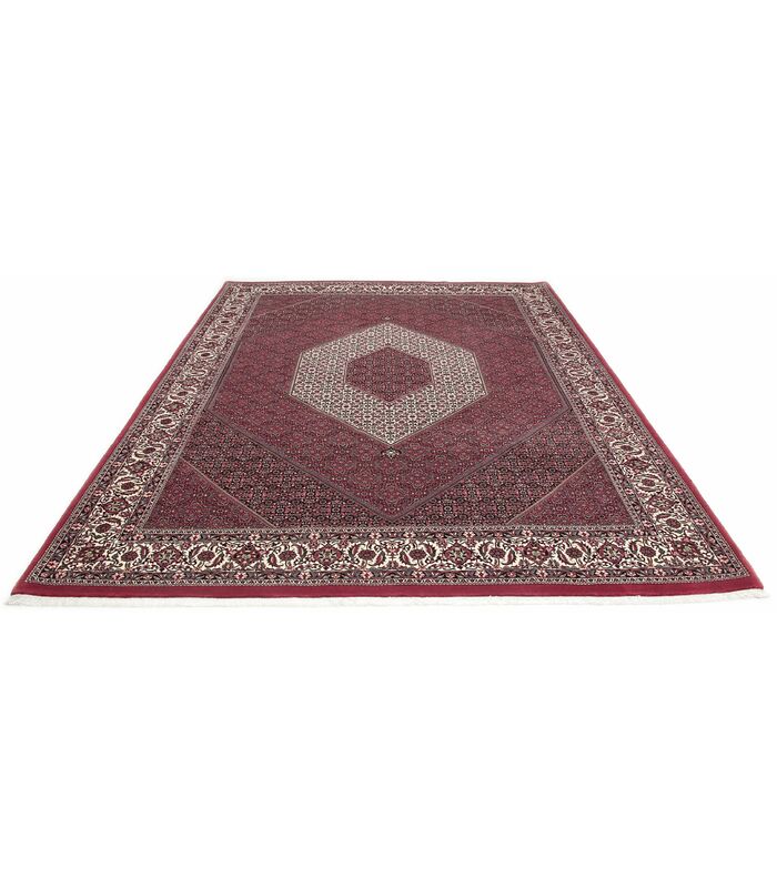 Bidjar with silk contours