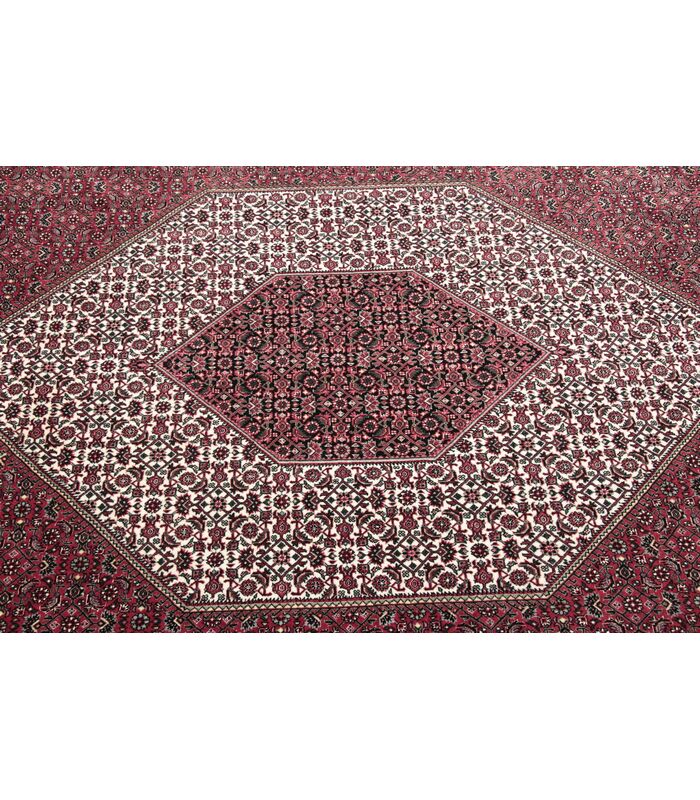 Bidjar with silk contours