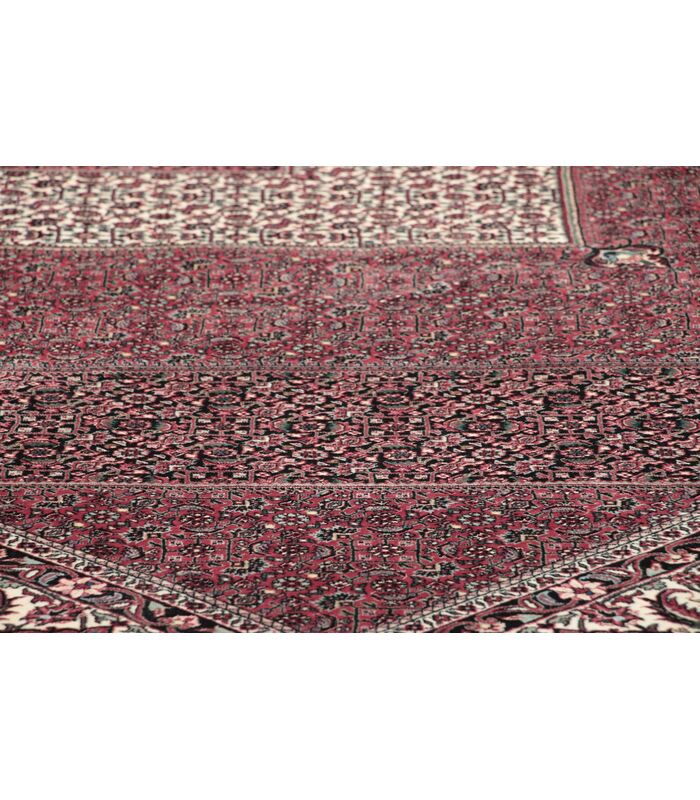 Bidjar with silk contours