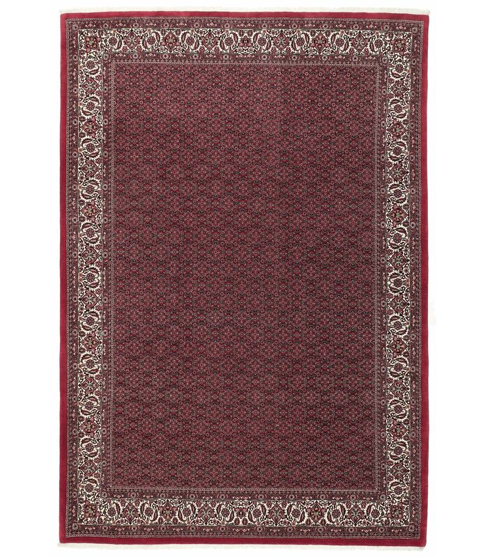 Bidjar with silk contours