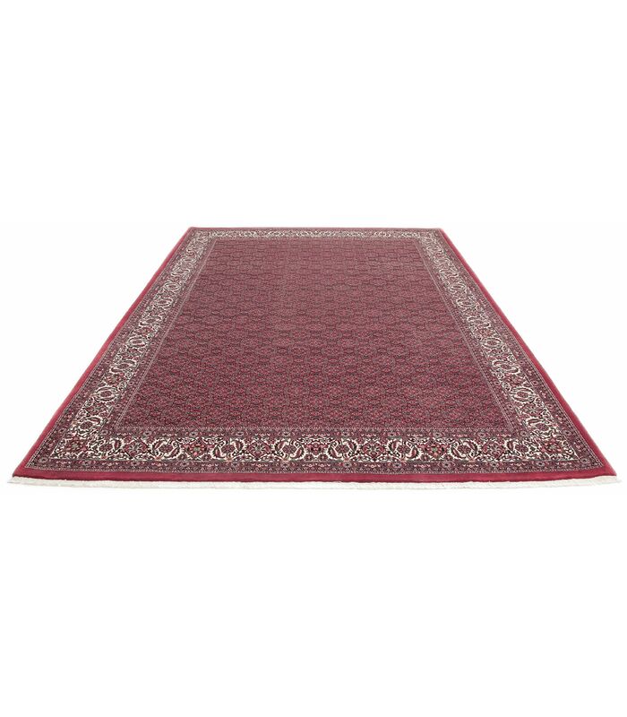 Bidjar with silk contours