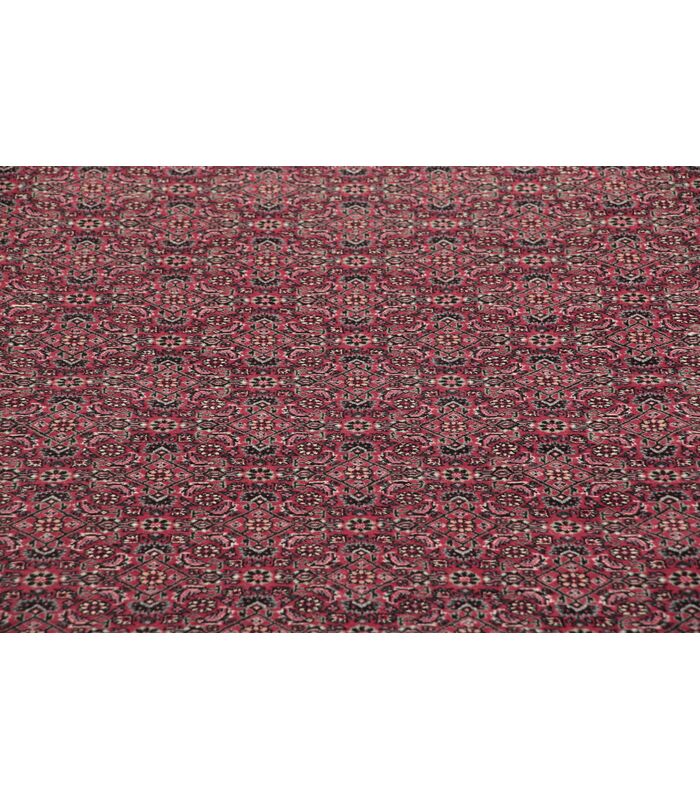 Bidjar with silk contours