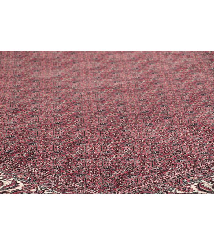 Bidjar with silk contours