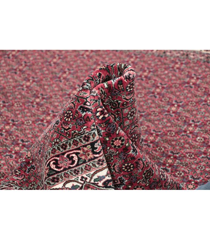 Bidjar with silk contours