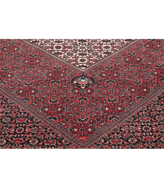 Bidjar with silk contours