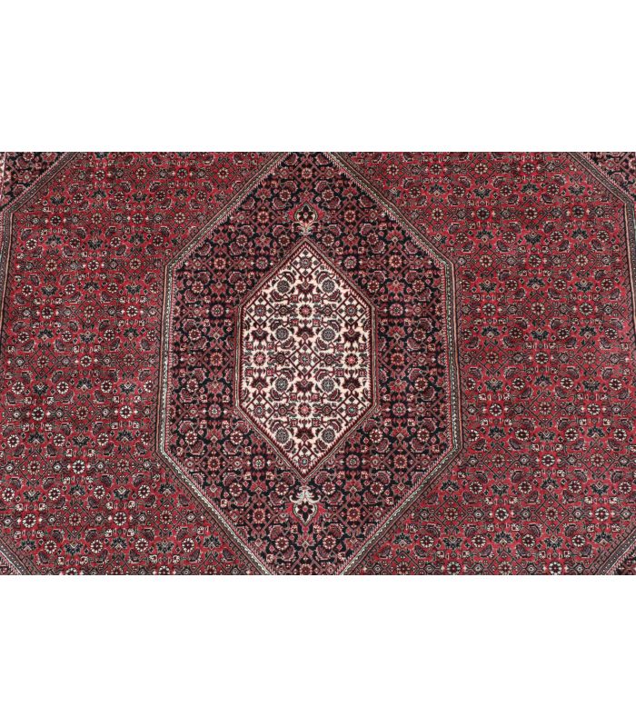 Bidjar with silk contours