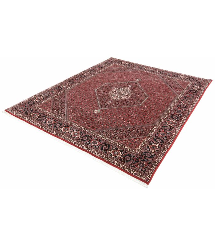 Bidjar with silk contours