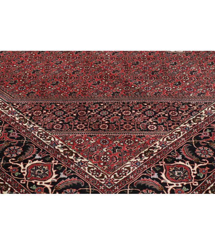 Bidjar with silk contours