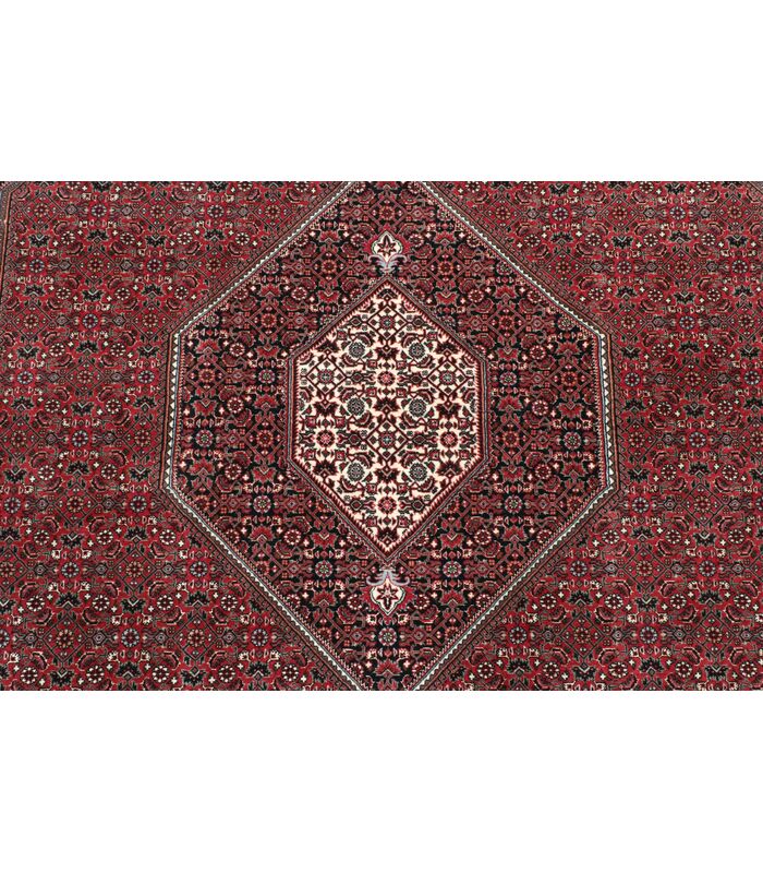 Bidjar with silk contours