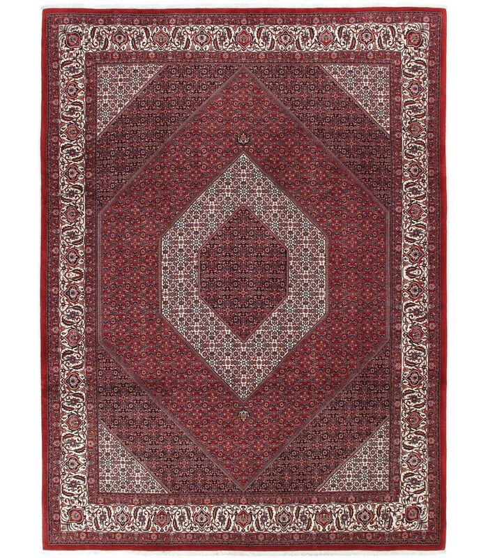 Bidjar with silk contours