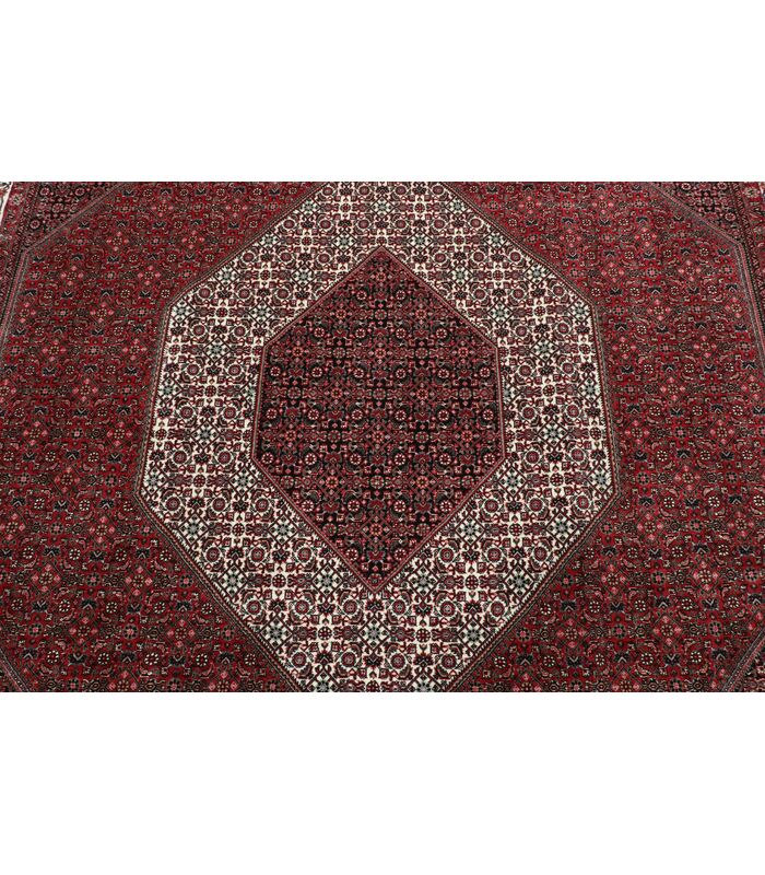 Bidjar with silk contours