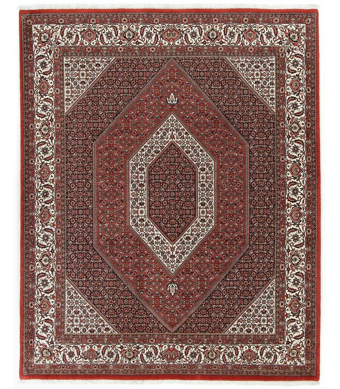 Bidjar with silk contours