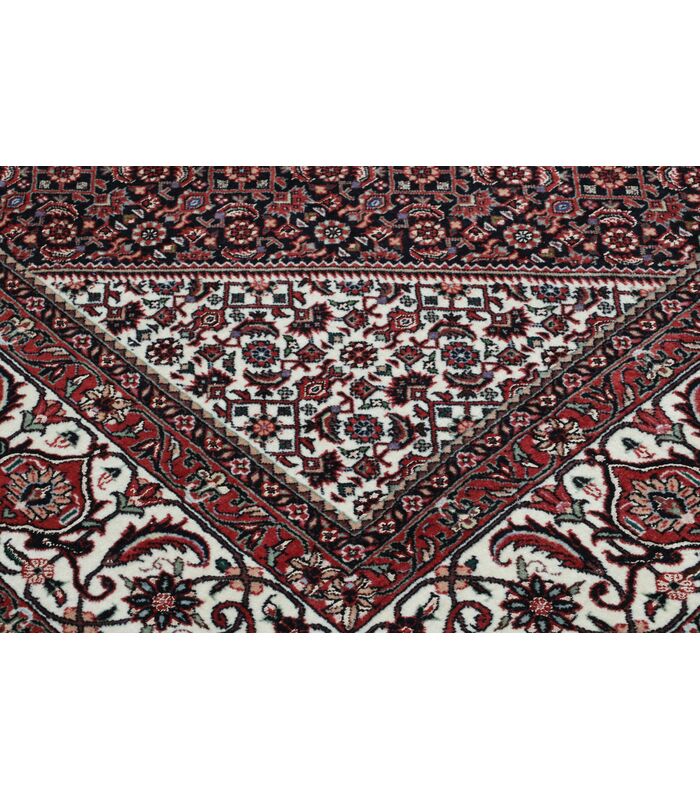 Bidjar with silk contours