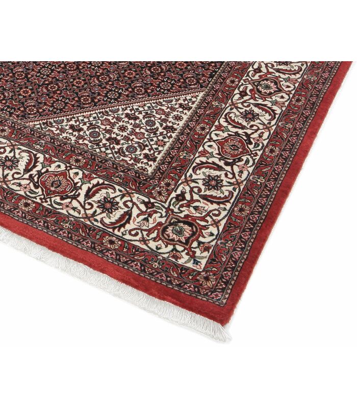 Bidjar with silk contours