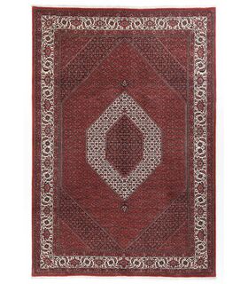 Bidjar with silk contours