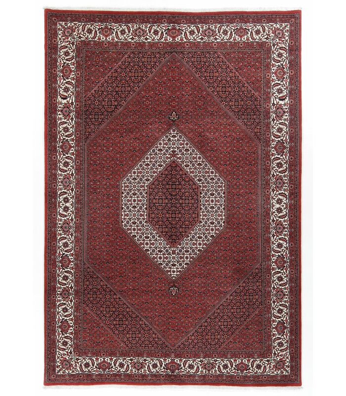 Bidjar with silk contours