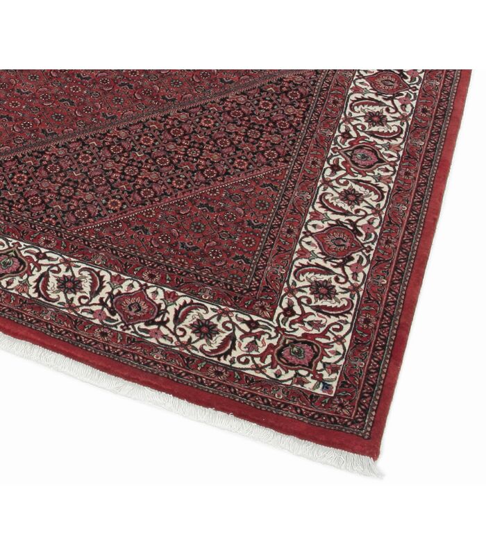 Bidjar with silk contours