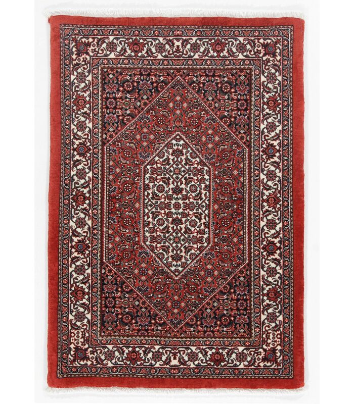 Bidjar with silk contours