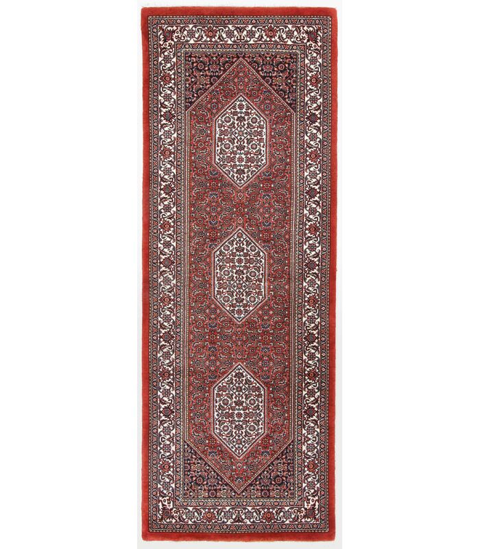 Bidjar with silk contours