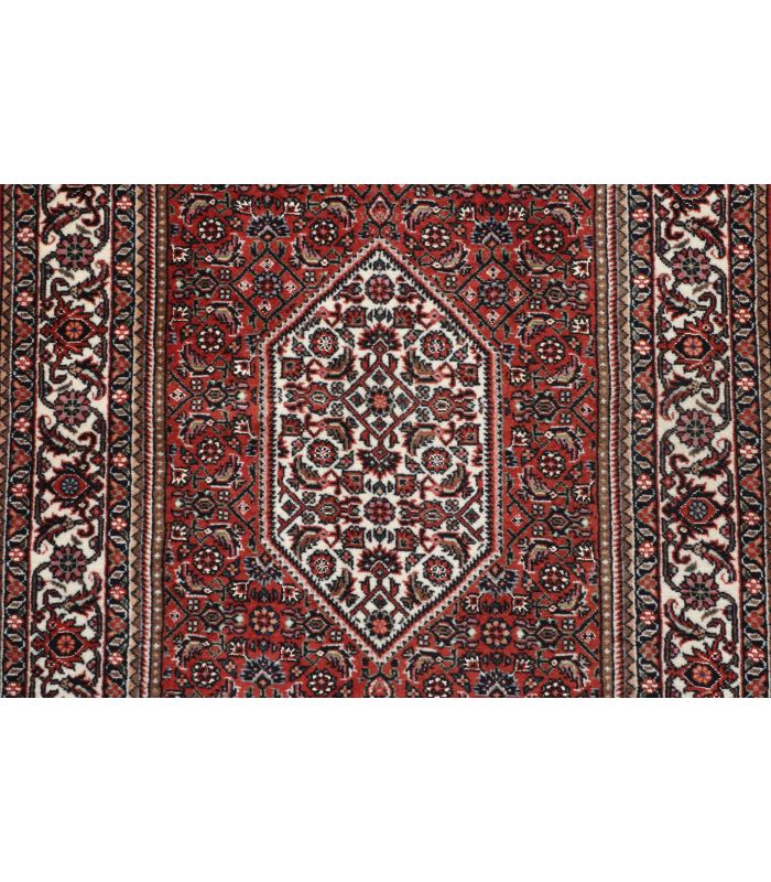 Bidjar with silk contours