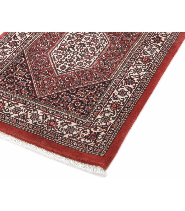 Bidjar with silk contours