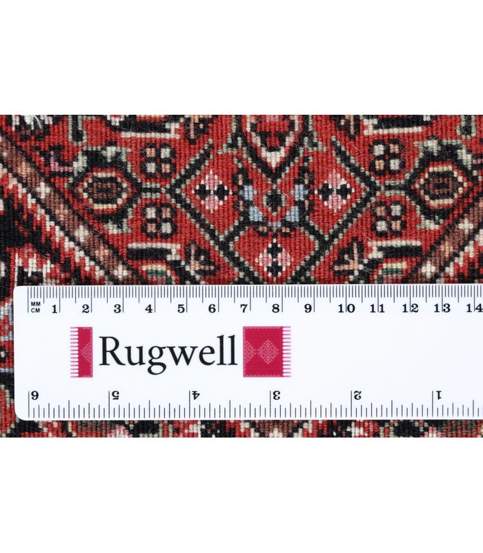 Bidjar with silk contours