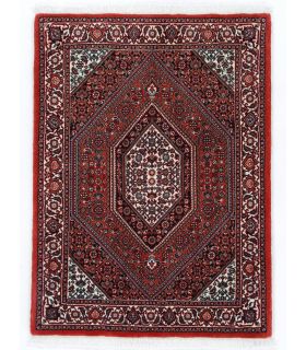 Bidjar with silk contours