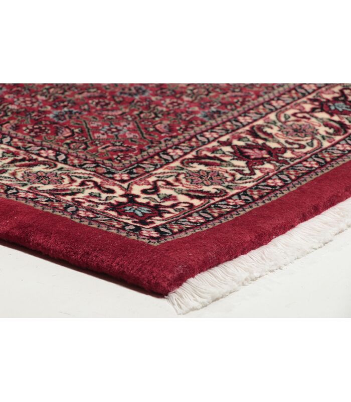 Bidjar with silk contours