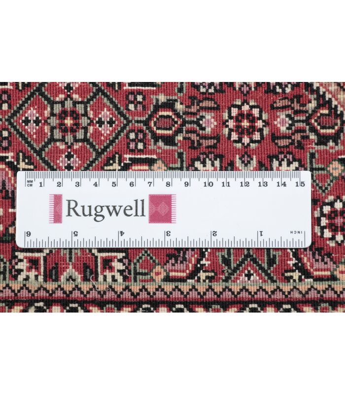 Bidjar with silk contours