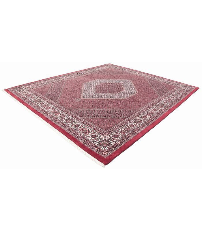 Bidjar with silk contours