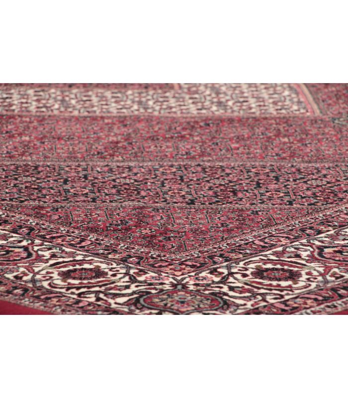 Bidjar with silk contours