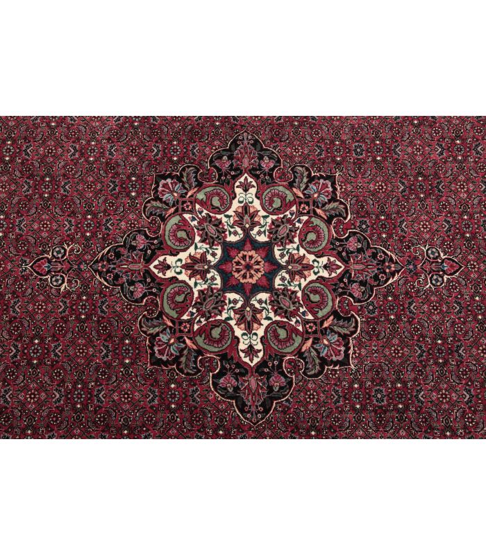 Bidjar with silk contours