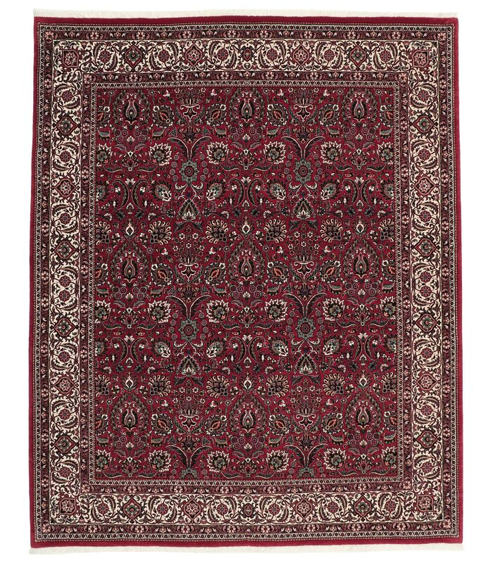 Bidjar with silk contours