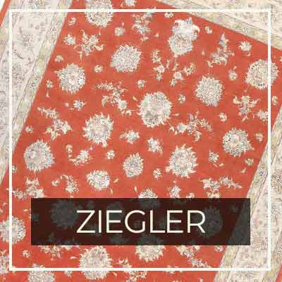 Ziegler